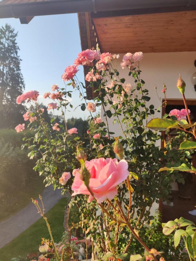 Pension Treissmann Pichling bei Stainz Dış mekan fotoğraf